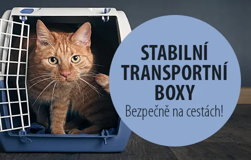 2019_04_Transport_Box_C_CZ