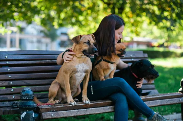 Opatrovatelka psů sed&iacute; se třemi psy