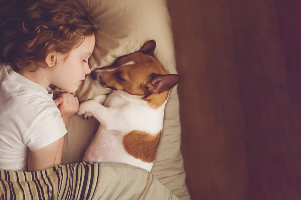 D&iacute;vka a Jack Russel teri&eacute;r sp&iacute;