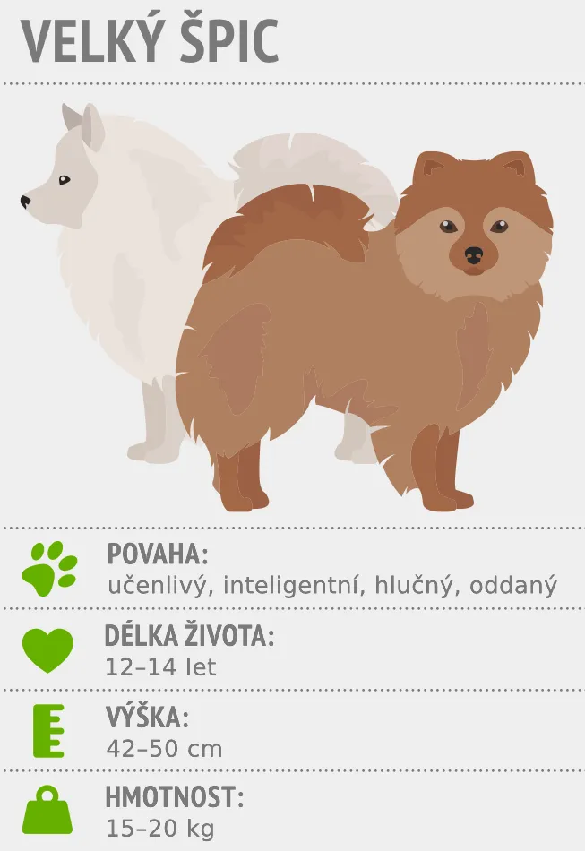 Velk&yacute; &scaron;pic - infografika